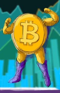 bitcoin fighter